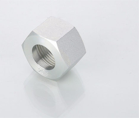 OEM Retaining Nuts Nl/Ns with Male Connection and Hexagon Head Type Design