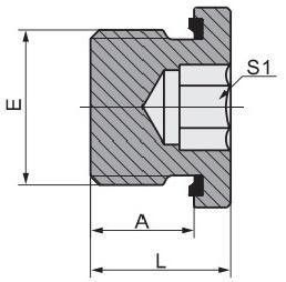 BSPT Male Connection Hydraulic Tube Fitting with Captive Seal Hollow Hex Plug 4bn-Wd
